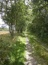 Sandweg am Rande eines Ackers